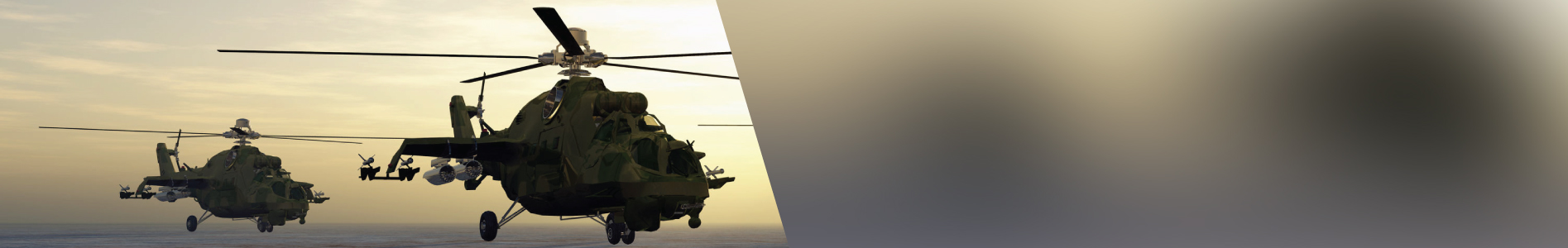  - Ruggedized solutions for<br>mission critical applications